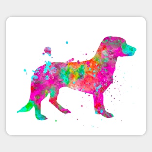 Drever Dog Watercolor Painting Sticker